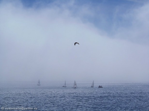 fog channel panoramio